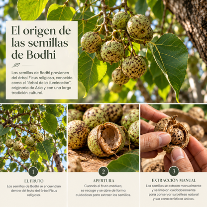NÜA. Movimiento que acompaña.